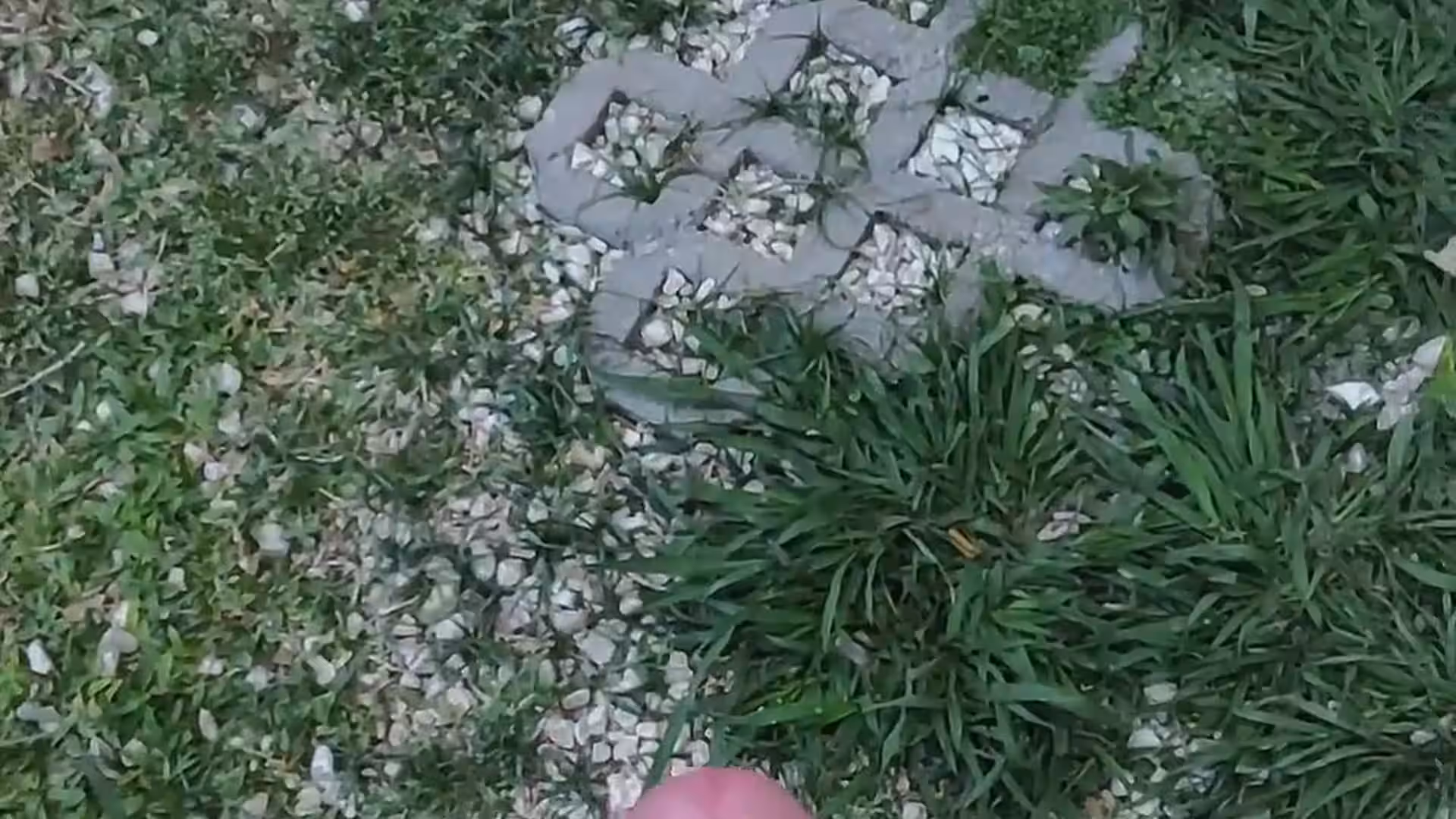daddy GrowXtrong joi Epic
0