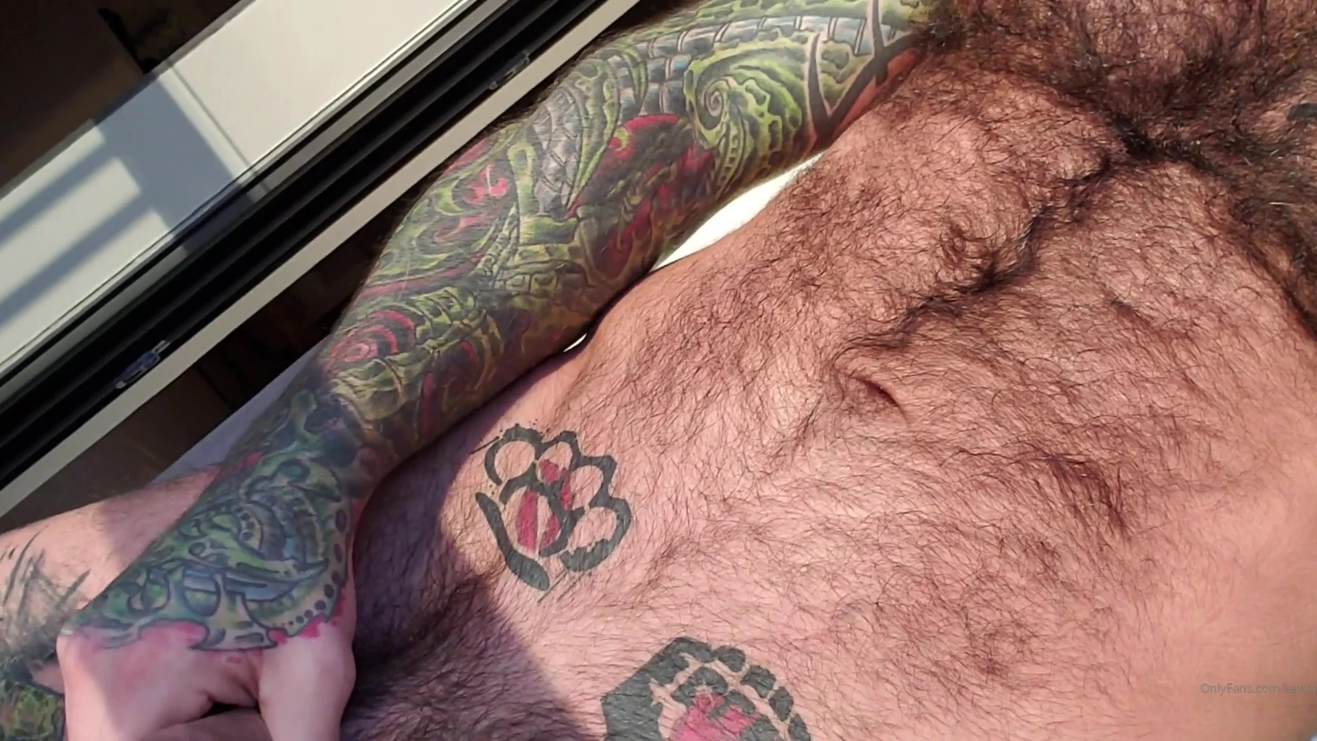 Furry Markus Kage of Sensational
0