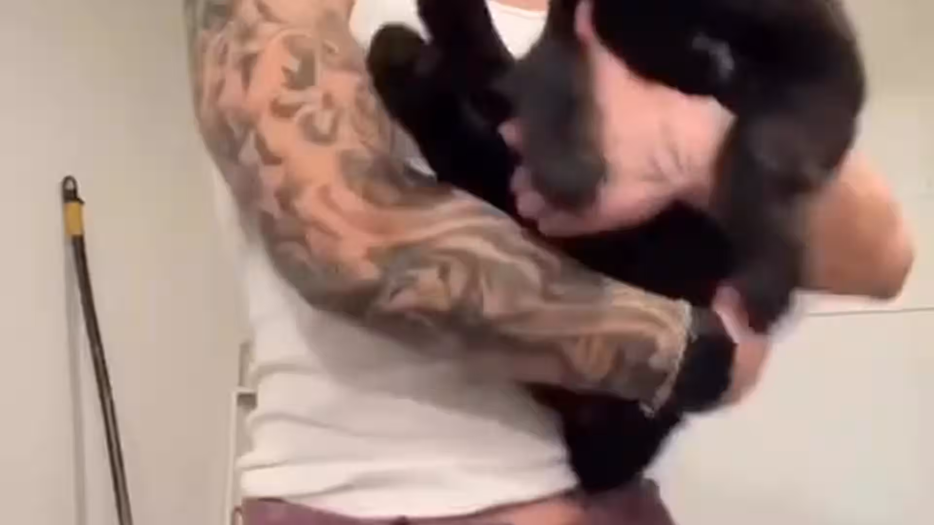 hot guy gooning tiktok star evanlamicella
1