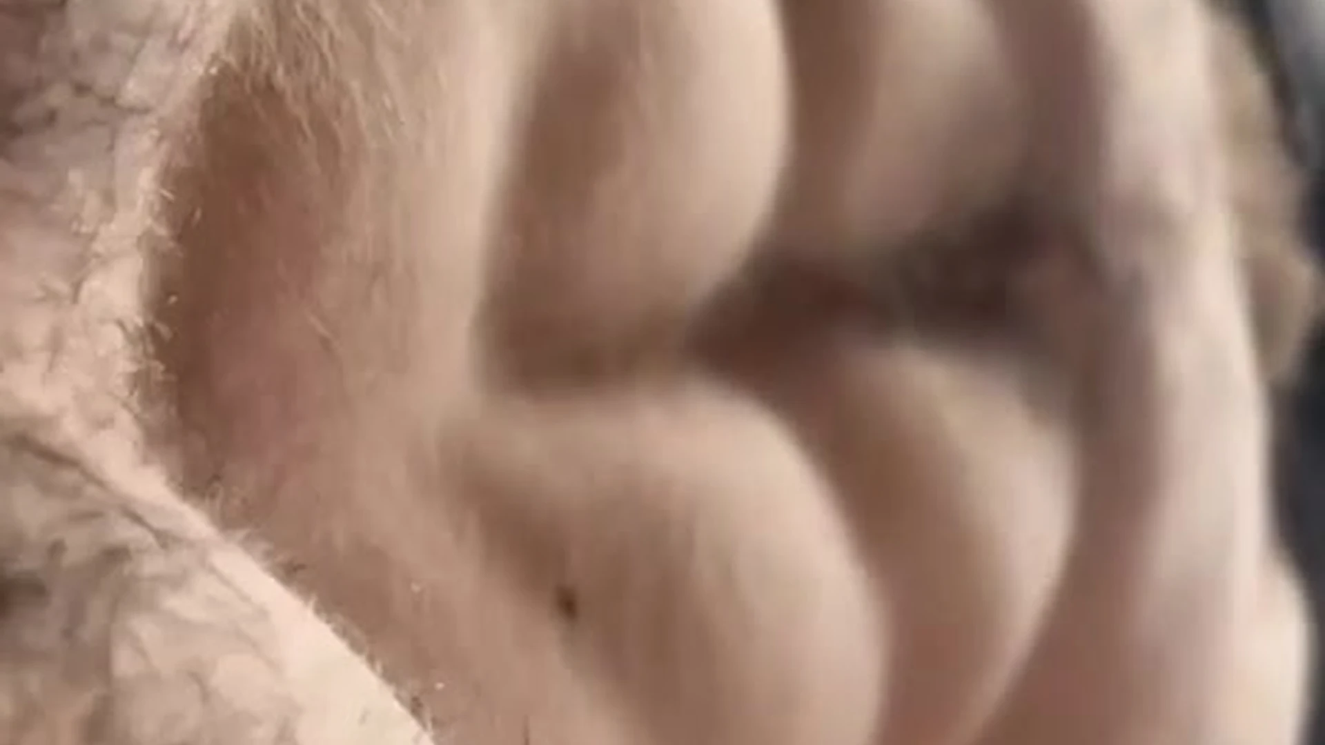 hunk michaelyerger sex video full
45