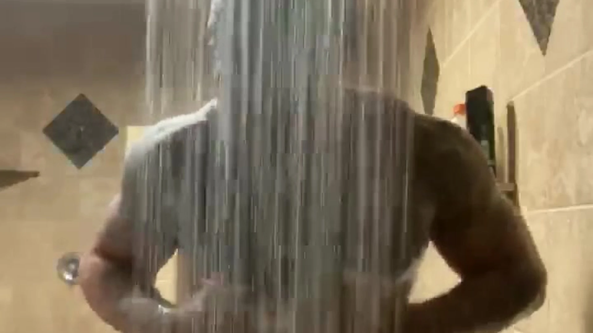 influencer muscle bull Vegas Venom Fansly leaks Vid Epic
8