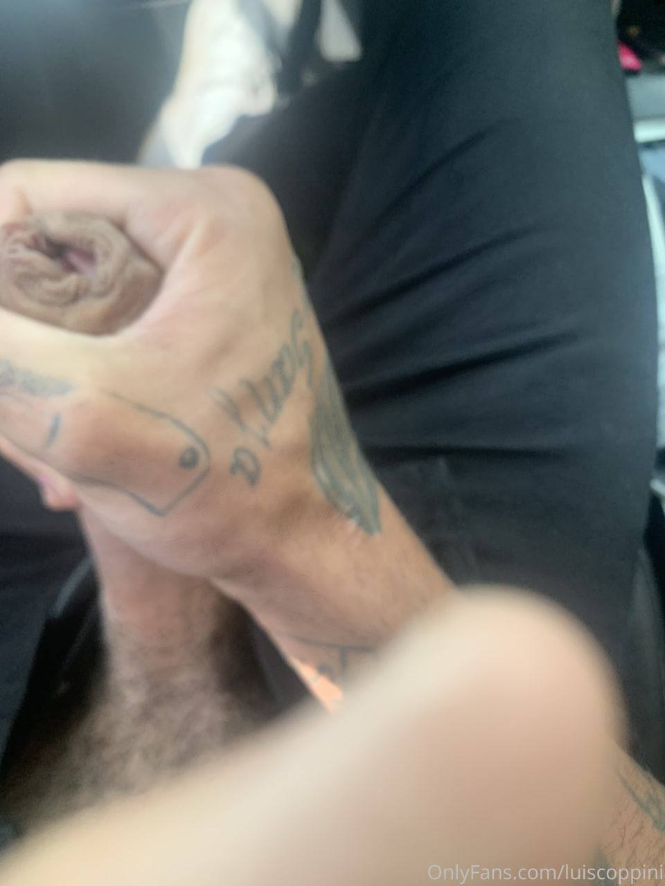 Provocante Luiscoppini onlyfans pics
0
