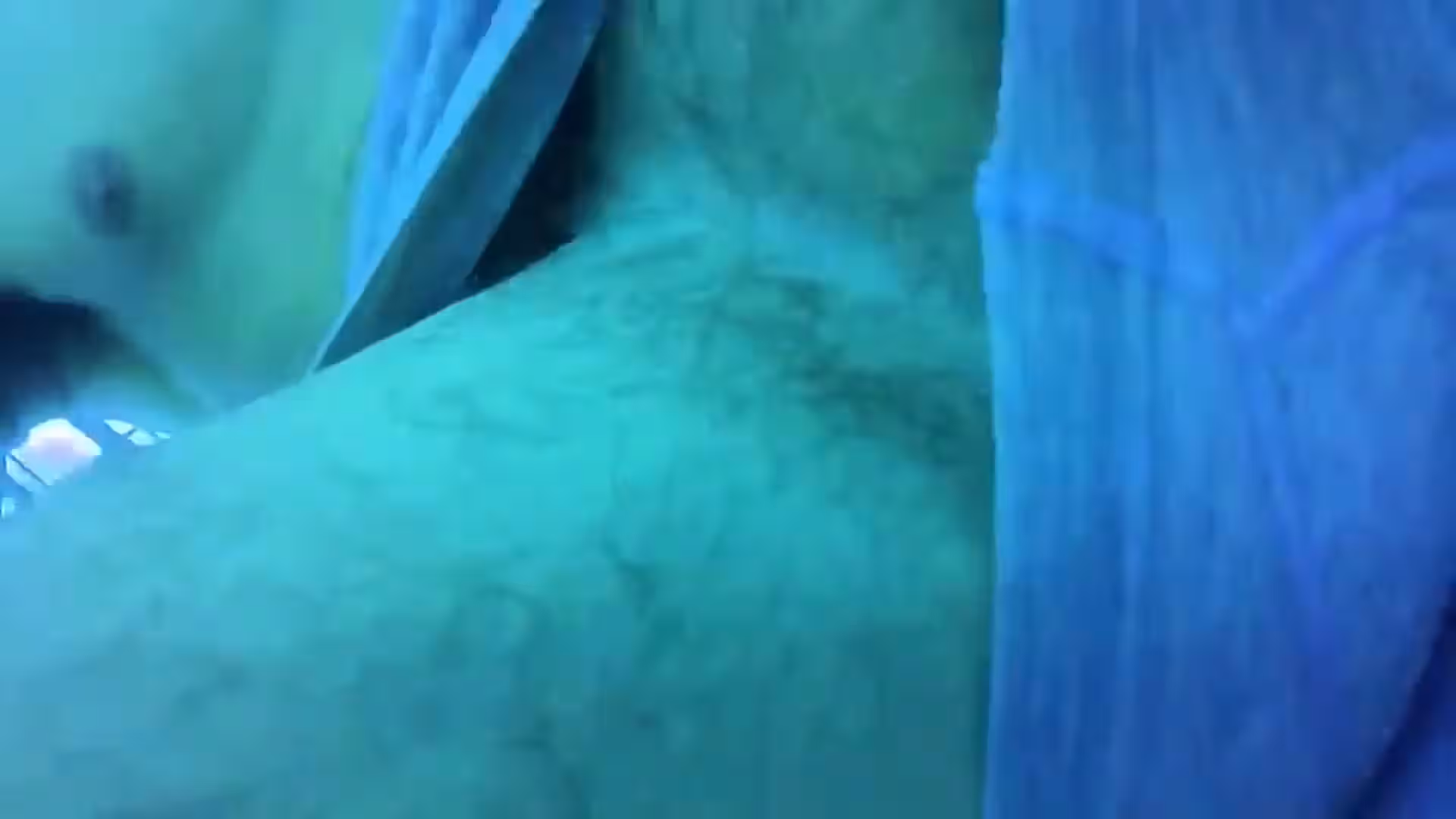 randy handsomebuck reddit
1