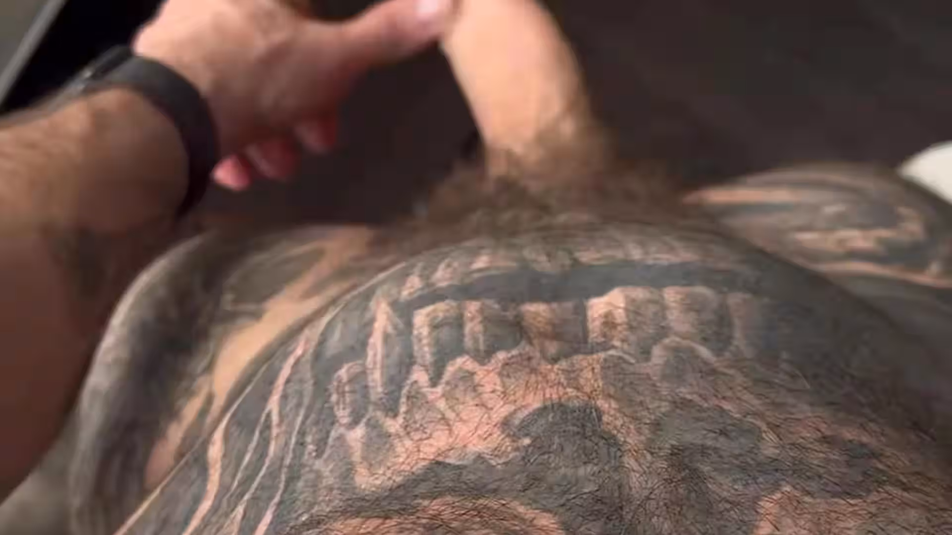 Sensational Motivated Chico bueno GrowXtrong nudes Clip
0