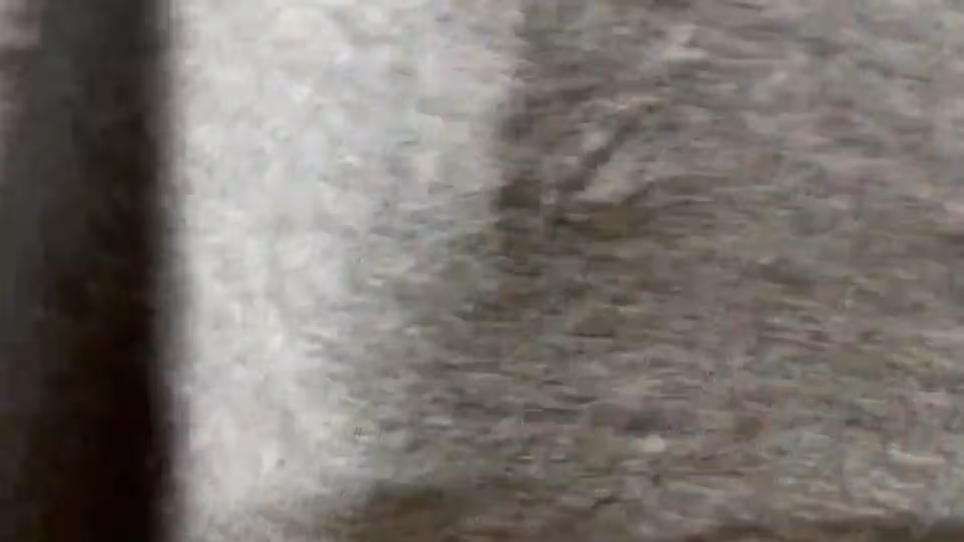 Sensational Sensual mariohervasvip Nude OF
0