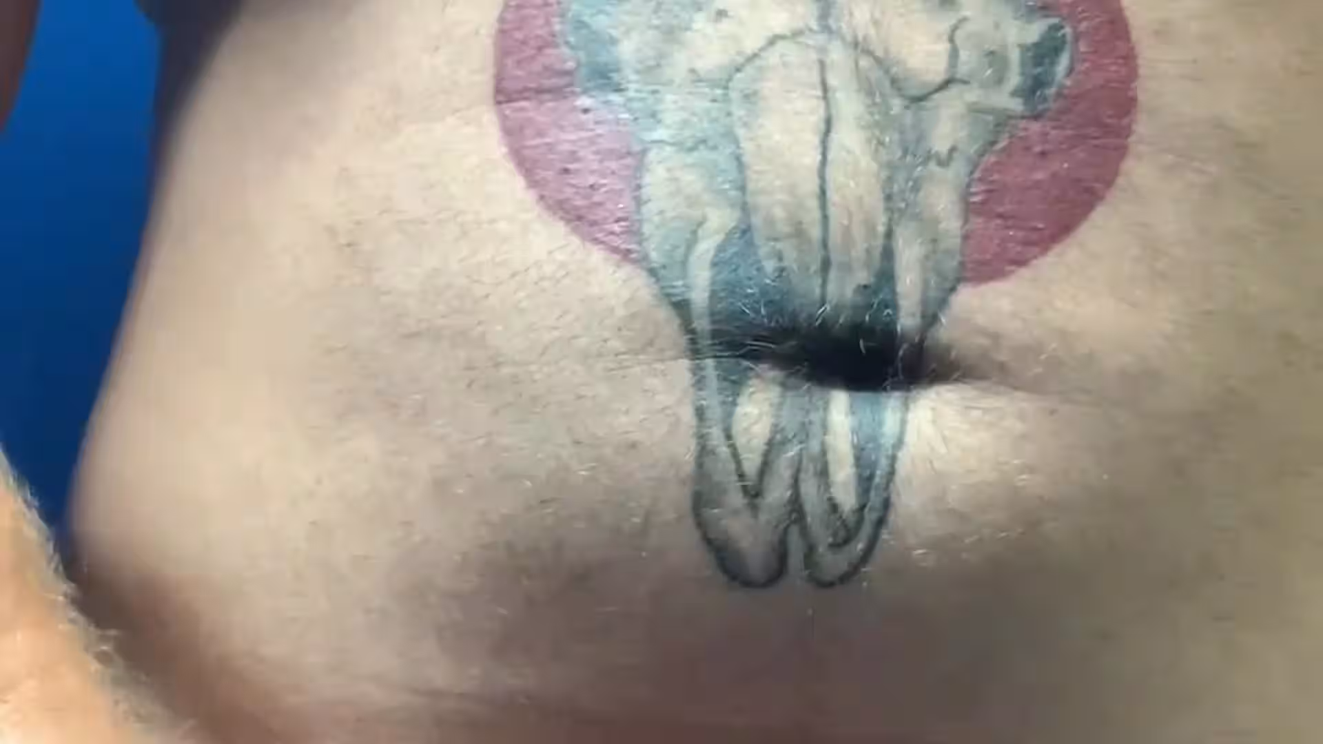 shy ASS PLAY Alex Lederman leaked pic Full leaked video Exposed
0