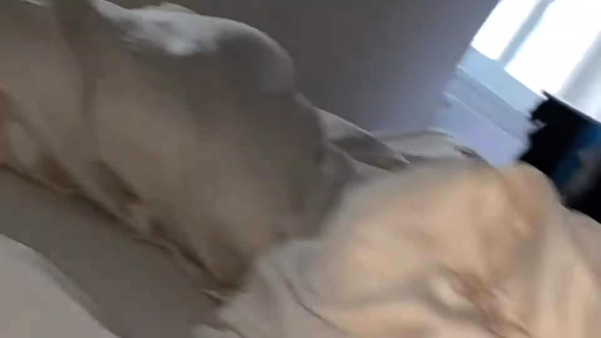 Sincere Czech Jakub Bandoch sex leak FullVID
0