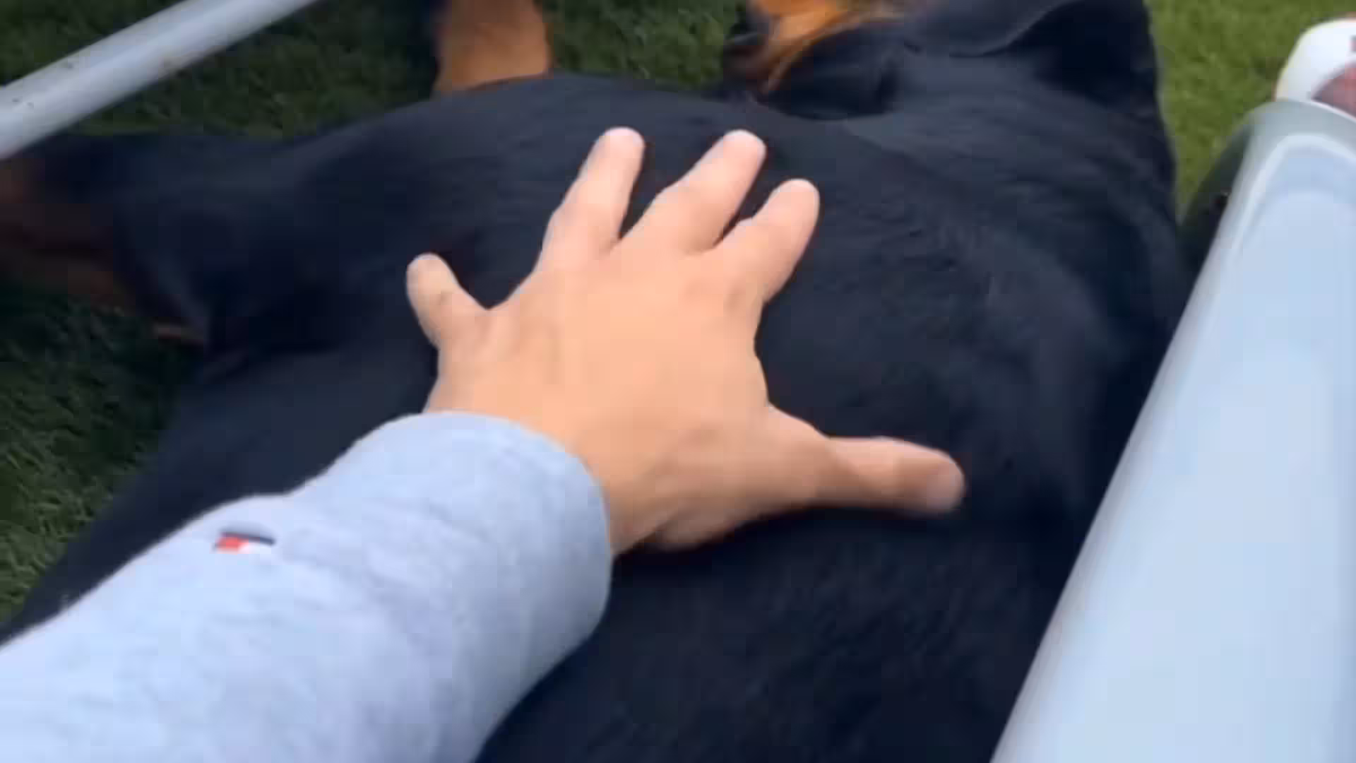 ukrainian max_barz camrip Exposed
6