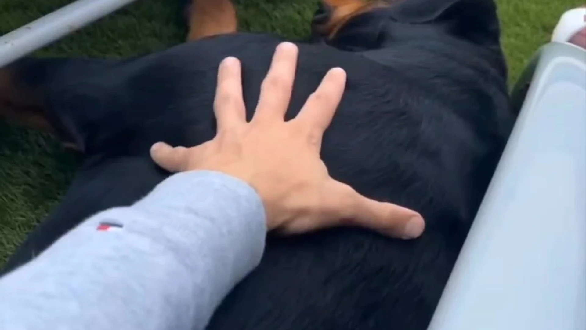 український гей max_barz leaked Epic
4